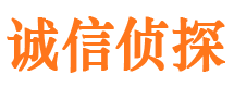 秦安市侦探公司